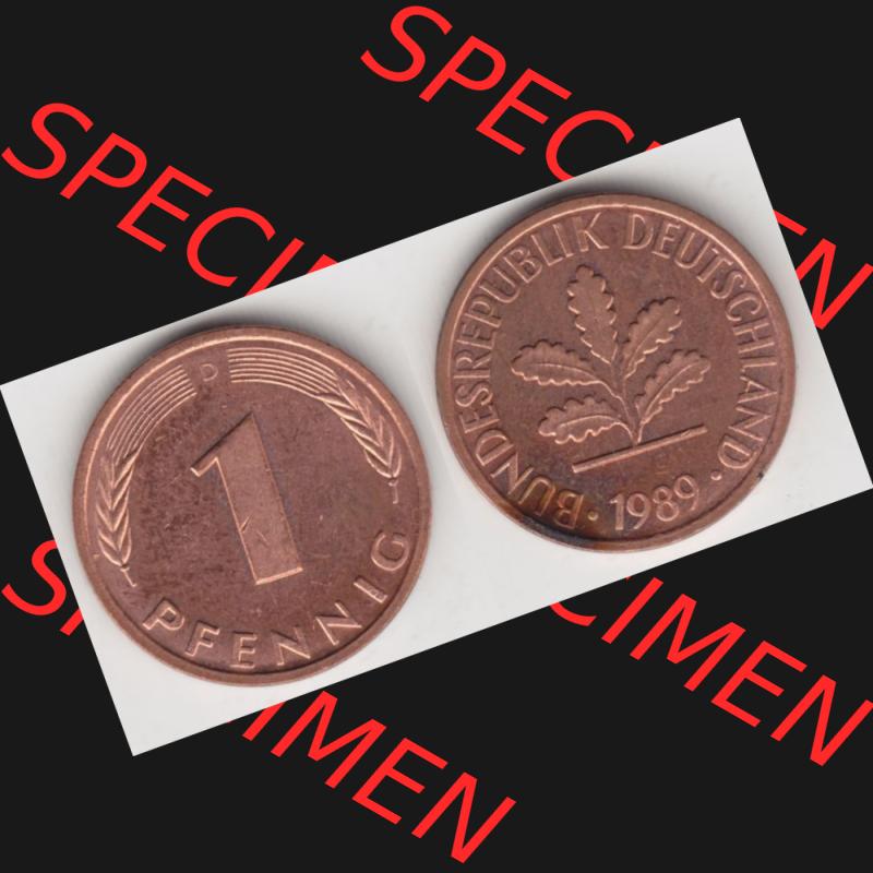 BRD Münze aus Deutschland 1950-2001, 1 Pfennig / 1 Pf. 1989 D - Vollansicht II.. Bild der Vorderseite und Rückseite einer 1 Pfennig Münze der Bundesrepublik... Sammlung