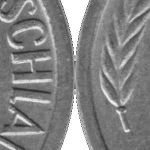 Ausschnitt zur Qualitätsprüfung vom Digitalen Bild Qualität