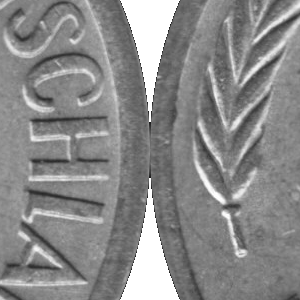 Ausschnitt zur Qualitätsprüfung vom Digitalen Bild Qualität