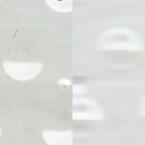 Ausschnitt zur Qualitätsprüfung vom Digitalen Bild Qualität
