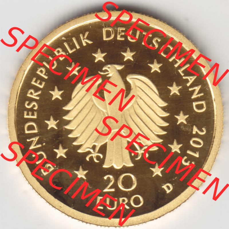 Goldmünzen 20 Euro 20 Euro Goldmünze 2013 Kiefer Rückseite zum herunterladen als Bildmaterial für ihre Sammlung der 20 Euro Goldmünzen aus Deutschland Sammlung
