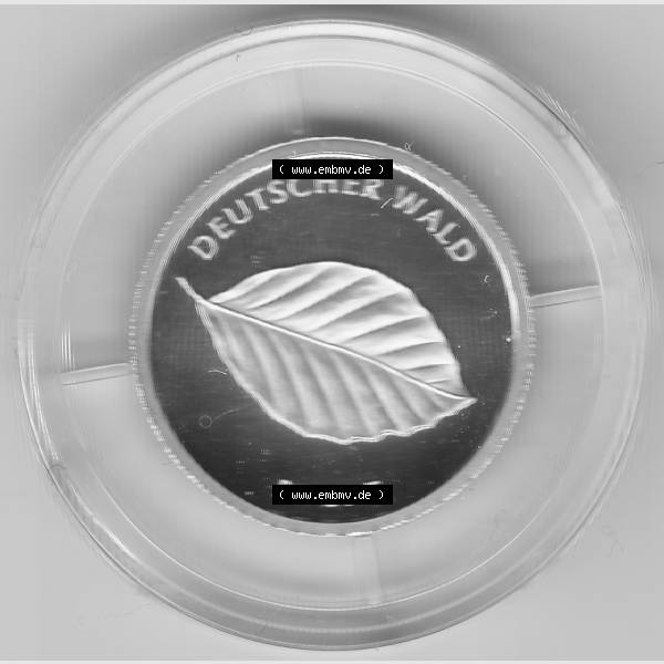 Grau bzw. s/w Goldmünzen 20 Euro 20 Euro Goldmünze 2011 Buche Vorderseite zum herunterladen als Bildmaterial für ihre Sammlung der 20 Euro Goldmünzen aus Deutschland Sammlung Graustufen