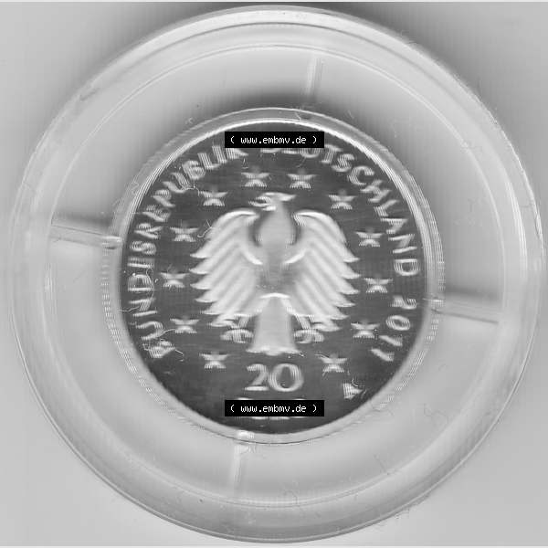 Grau bzw. s/w Goldmünzen 20 Euro 20 Euro Goldmünze 2011 Buche Rückseite zum herunterladen als Bildmaterial für ihre Sammlung der 20 Euro Goldmünzen aus Deutschland Sammlung Graustufen
