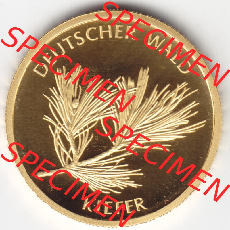 Goldmünzen 20 Euro 20 Euro Goldmünze 2013 Kiefer Vorderseite zum herunterladen als Bildmaterial für ihre Sammlung der 20 Euro Goldmünzen aus Deutschland Sammlung
