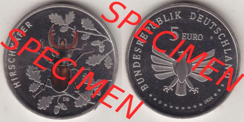 Deutschland 2024, D 5 Euro Hirschkäfer. VS+RS auf einen digitalen Bild der 5 Euro Münzen, Gedenkmünze Hirschkäfer aus der deutschen Serie Wunderwelt Insekten Sammlung