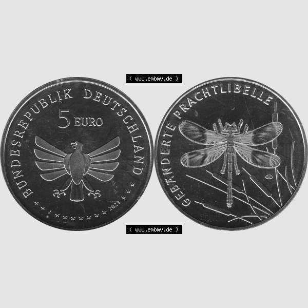 Sammlung Graustufen