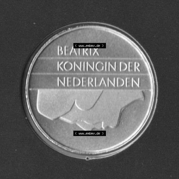 Grau bzw. s/w Münzen Niederlande Umlaufmünze 1982-2000, 1 Gulden, Bild mit Rückseite der Münze als Bildmaterial Sammlung Graustufen