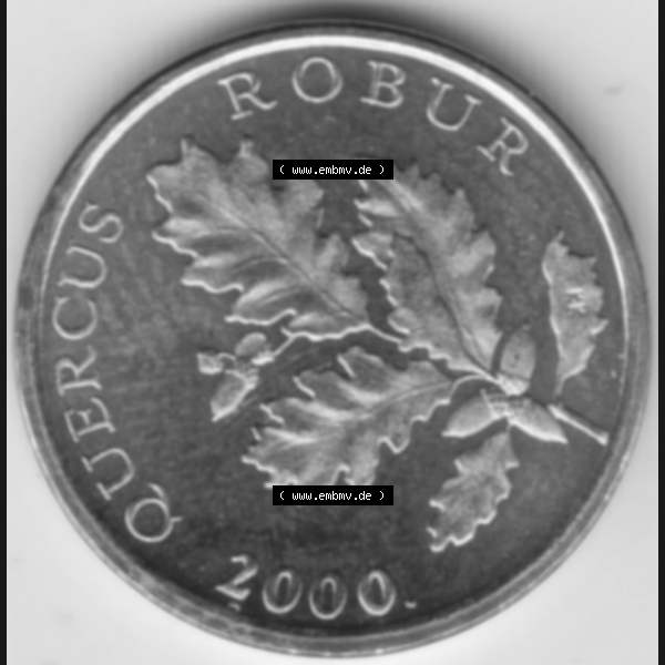 Grau bzw. s/w Münzen Kroatien Umlaufmünze 2000 5 Lipa, Bild mit Vorderseite der Münze als Bildmaterial Sammlung Graustufen