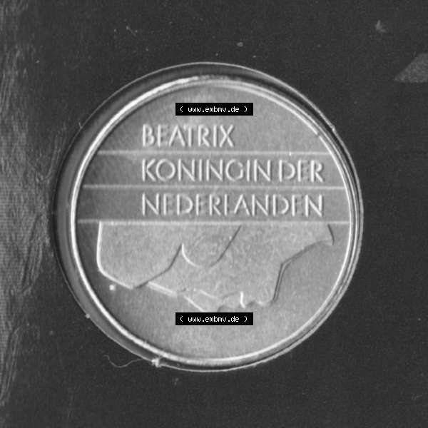 Grau bzw. s/w Münzen Niederlande Umlaufmünze 1987-2000, 5 Gulden, Bild mit Rückseite der Münze als Bildmaterial Sammlung Graustufen