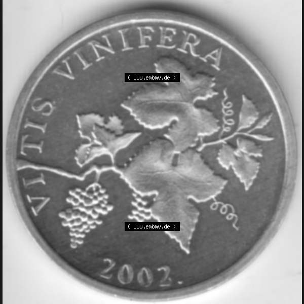 Grau bzw. s/w Münzen Kroatien Umlaufmünze 2002 2 Lipe, Bild mit Vorderseite der Münze als Bildmaterial Sammlung Graustufen