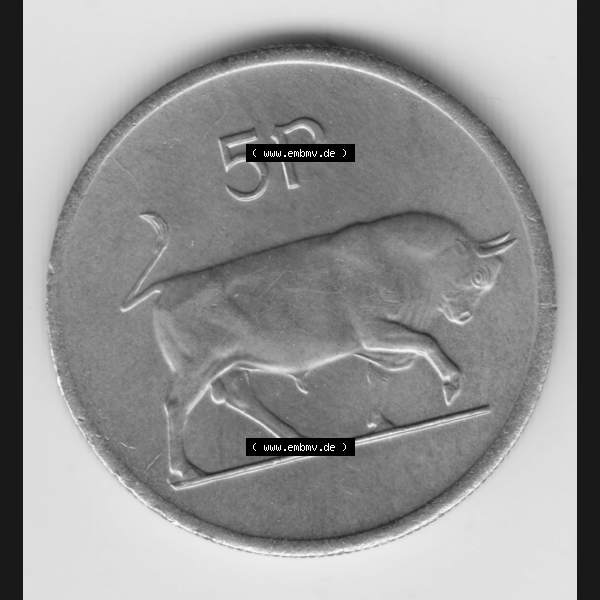 Grau bzw. s/w Münzen Irland Umlaufmünze 1976, 5 Pence. Vorderseite der alten irischen Umlaufmünze aus Irland in Irische Pfund-Währung zum katalogisieren und verwalten im Münzen-Katalog... Sammlung Graustufen
