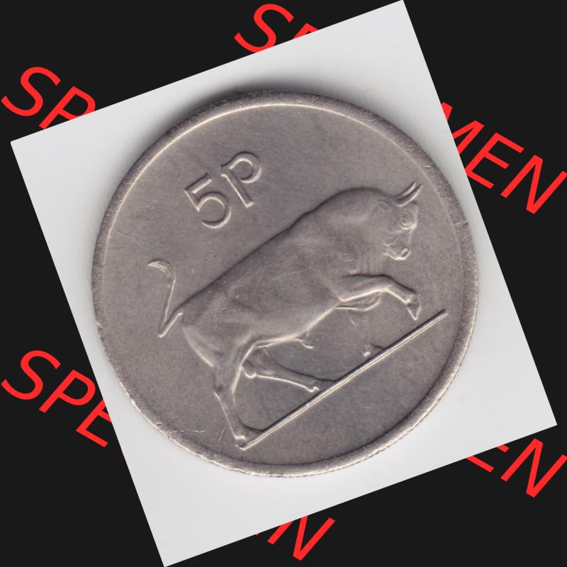 Münzen Irland Umlaufmünze 1976, 5 Pence. Vorderseite der alten irischen Umlaufmünze aus Irland in Irische Pfund-Währung zum katalogisieren und verwalten im Münzen-Katalog... Sammlung
