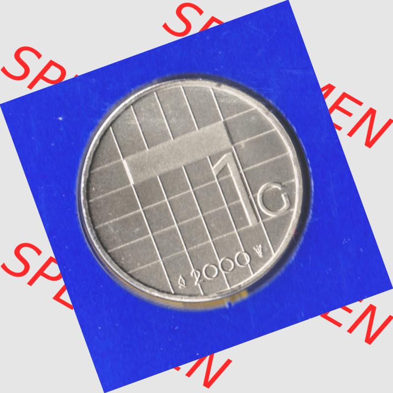 Münzen Niederlande Umlaufmünze 1982-2000, 1 Gulden, Bild mit Vorderseite der Münze als Bildmaterial Sammlung