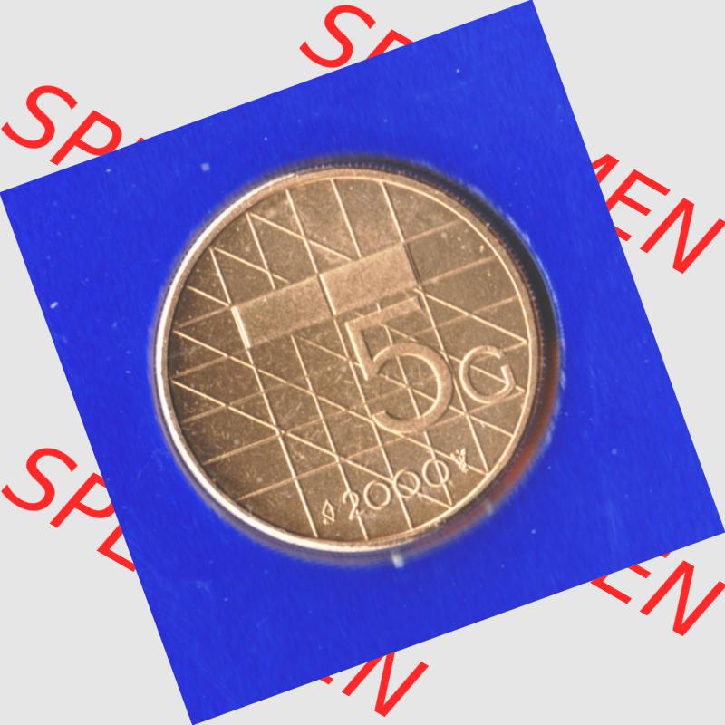 Münzen Niederlande Umlaufmünze 1987-2000, 5 Gulden, Bild mit Vorderseite der Münze als Bildmaterial Sammlung