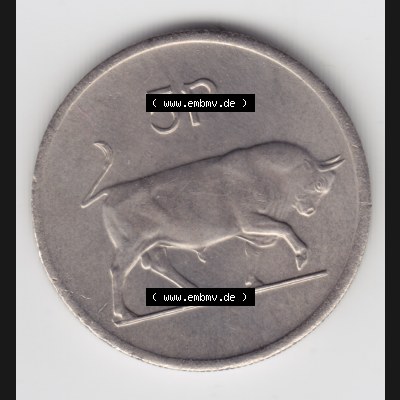 Münzen Irland Umlaufmünze 1976, 5 Pence. Vorderseite der alten irischen Umlaufmünze aus Irland in Irische Pfund-Währung zum katalogisieren und verwalten im Münzen-Katalog... Sammlung