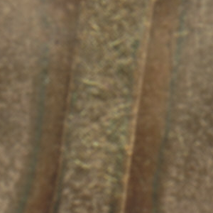 Ausschnitt zur Qualitätsprüfung vom Digitalen Bild Qualität