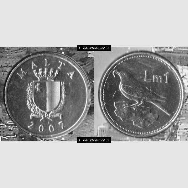 Grau bzw. s/w Münzen Malta Umlaufmünze 1991-2007, 1 Lira, Lm 2007 (3) Sammlung Graustufen