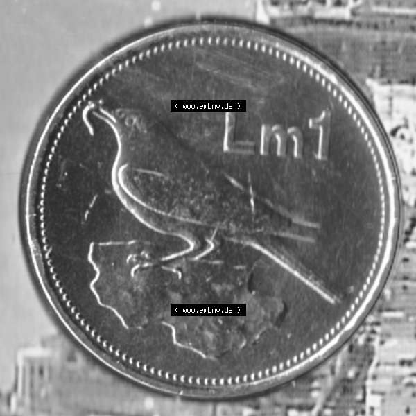 Grau bzw. s/w Münzen Malta Umlaufmünze 1991-2007, 1 Lira, Lm 2007, Rückseite Sammlung Graustufen
