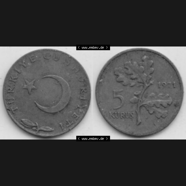 Grau bzw. s/w Münzen Türkei Umlaufmünze 1969-1973, 5 Kurus 1971, Bild mit Vollansicht als Bildmaterial Sammlung Graustufen