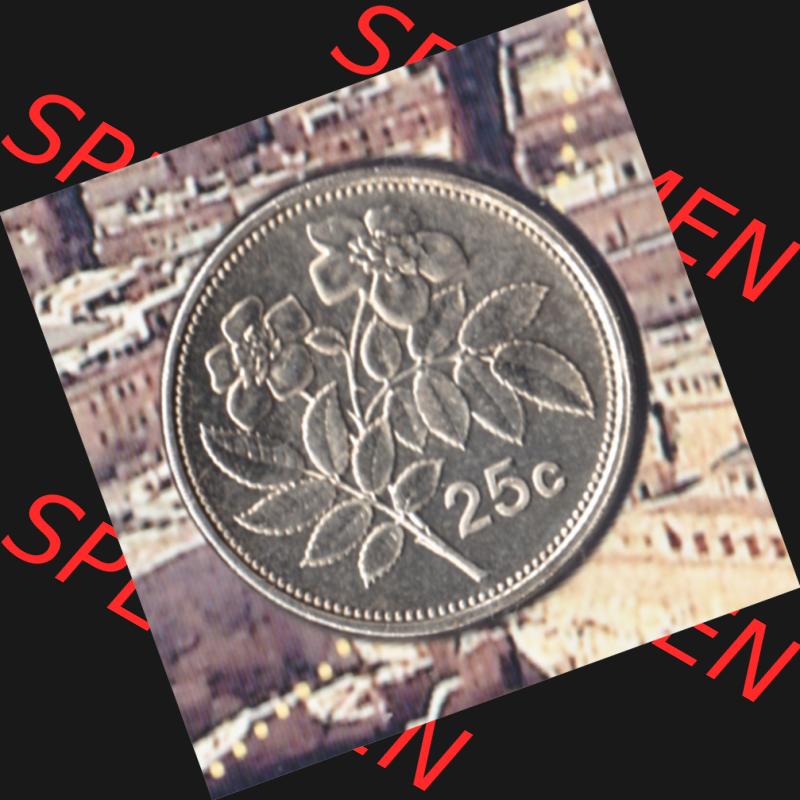 Münzen Malta Umlaufmünze 1991-2007, 25 Cent 2007, Rückseite Sammlung