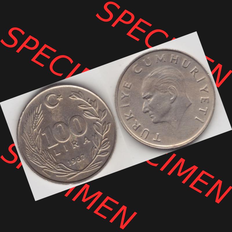 Münzen Türkei Umlaufmünze 1984-1988, 100 Lira - Lire 1987. Vorderseite und Rückseite der Münze der Türkei auf einen Digitalen Bild, als Bildmaterial für... Sammlung
