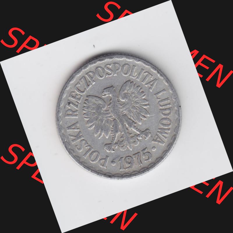 Münzen Polen Umlaufmünze 1957-1985, 1 Zloty 1975 (1) Sammlung