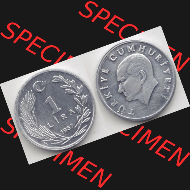 Münzen Türkei Umlaufmünze 1985-1989, 1 Lira - Lire 1987. Vorderseite und Rückseite der Münze der Türkei auf einen Digitalen Bild, als Bildmaterial für... Sammlung