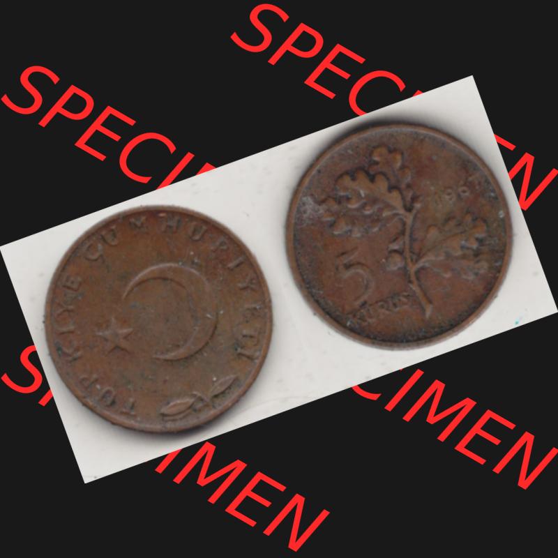 Münzen Türkei Umlaufmünze 1958-1968, 5 Kurus 1967, Bild mit Vollansicht als Bildmaterial Sammlung