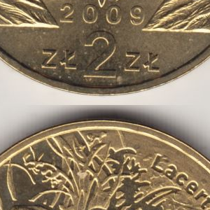 Ausschnitt zur Qualitätsprüfung vom Digitalen Bild Qualität