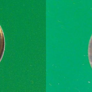 Ausschnitt zur Qualitätsprüfung vom Digitalen Bild Qualität