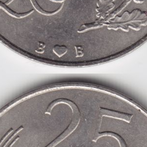 Ausschnitt zur Qualitätsprüfung vom Digitalen Bild Qualität