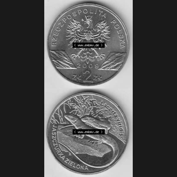 Grau bzw. s/w Münzen Polen Gedenkmünze 2009-2009, 2 Zloty, Europäische Grüne Eidechse, Münzseiten Untereinander als Bildmaterial Sammlung Graustufen