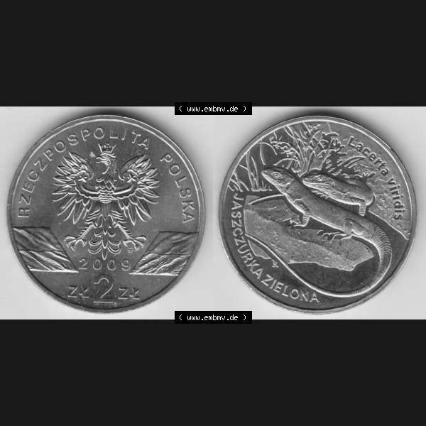 Grau bzw. s/w Münzen Polen Gedenkmünze 2009-2009, 2 Zloty, Europäische Grüne Eidechse, Bild mit Vollansicht als Bildmaterial Sammlung Graustufen