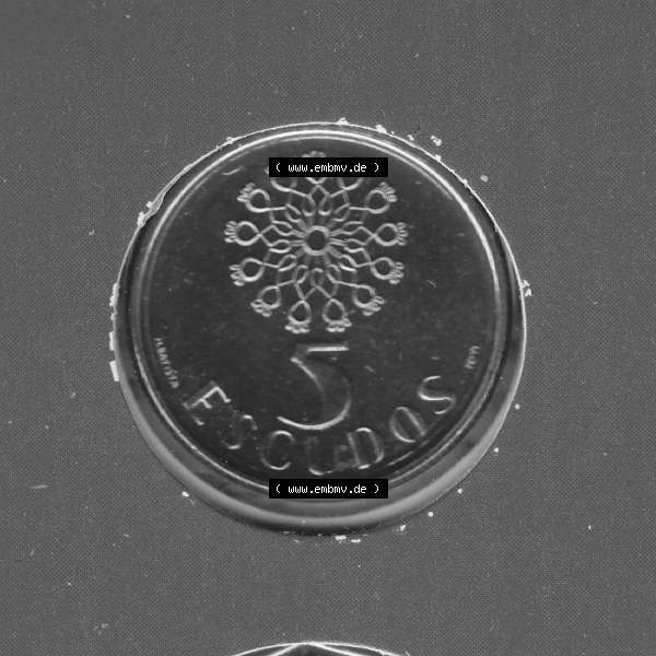 Grau bzw. s/w Münzen Portugal KMS Umlaufmünze 1987, 5 Escudo. Vorderseite der Escudo Umlaufmünze aus Portugal vor EInführung der Euromünzen in Portugal zum katalogisieren im vor... Sammlung Graustufen