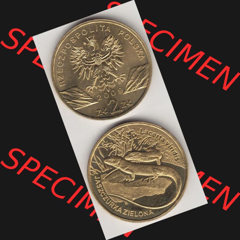 Münzen Polen Gedenkmünze 2009-2009, 2 Zloty, Europäische Grüne Eidechse, Münzseiten Untereinander als Bildmaterial Sammlung