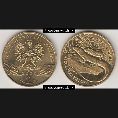 Münzen Polen Gedenkmünze 2009-2009, 2 Zloty, Europäische Grüne Eidechse, Bild mit Vollansicht als Bildmaterial Sammlung