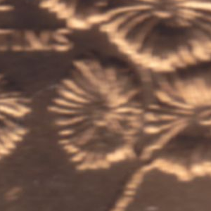Ausschnitt zur Qualitätsprüfung vom Digitalen Bild Qualität
