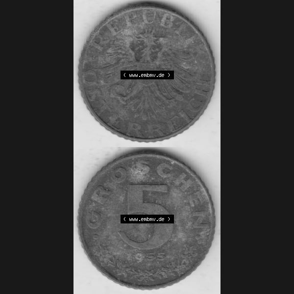Grau bzw. s/w Münzen Österreich Umlaufmünze 1948-1994, 5 Groschen 1955, Münze aus Österreich mit Münzseiten Vertikal / Untereinander auf einen Bild für Mobile-Geräte... Sammlung Graustufen