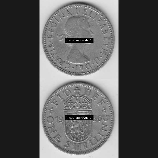 Grau bzw. s/w Münzen Großbritannien Umlaufmünze 1954-1970, 1 Schilling - Shilling, 1956-1 Wappen mit einen Löwen. Vorderseite und Rückseite vertikal untereinander auf einen... Sammlung Graustufen