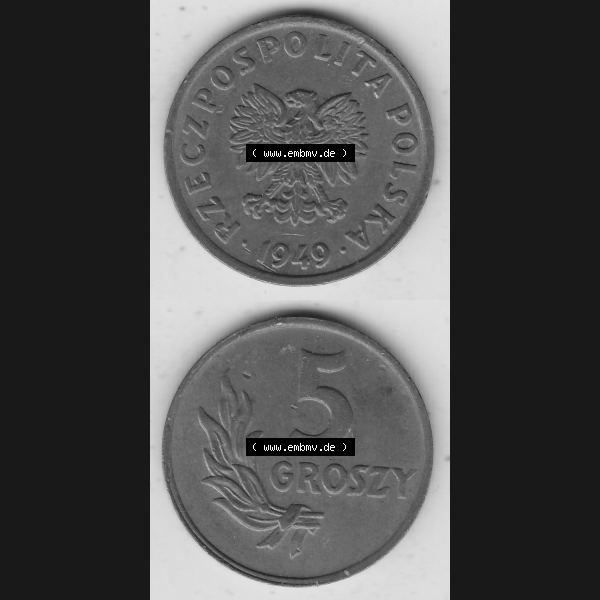 Grau bzw. s/w Münzen Polen KMS, Kursmünzensatz 1949-1949, Republik Polen 5 Groszy, Groschen, Bronze 1949-1. Vorderseite und Rückseite vertikal, untereinander mit Wert-Zahl... Sammlung Graustufen