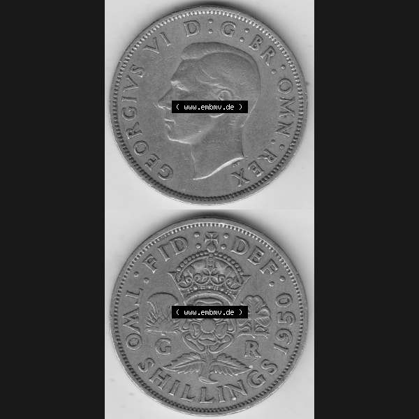 Grau bzw. s/w Alte Münzen Großbritannien Umlaufmünze 1949-1951, 2 Schilling, Shillings (Florin) 1950-2, George VI, GEORGIVS VI DG BR OMN REX, FID DEF TWO SHILLINGS.... Sammlung Graustufen