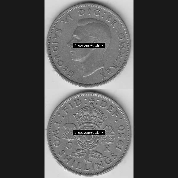 Grau bzw. s/w Alte Münzen Großbritannien Umlaufmünze 1949-1951, 2 Schilling, Shillings (Florin) 1950-1, George VI, GEORGIVS VI DG BR OMN REX, FID DEF TWO SHILLINGS.... Sammlung Graustufen