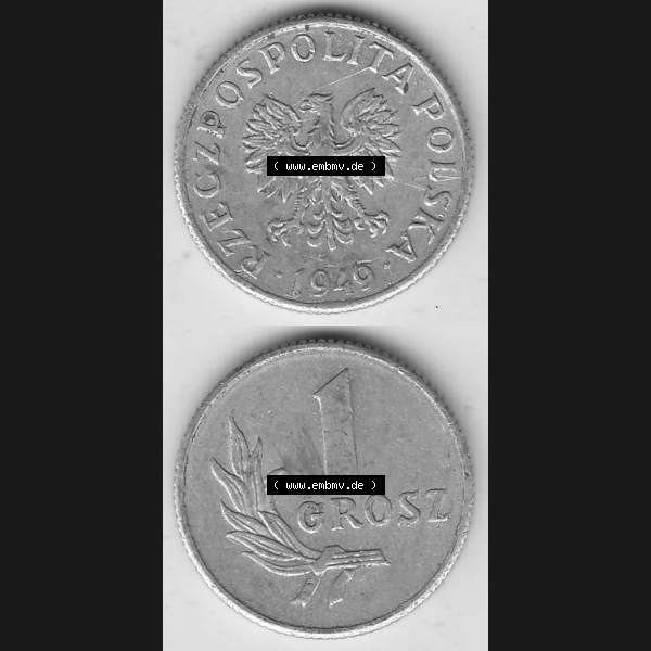 Grau bzw. s/w Münzen Polen KMS, Kursmünzensatz 1949-1949, Republik Polen 1 Grosz, Groschen, Aluminium 1949-1. Vorderseite und Rückseite vertikal, untereinander mit... Sammlung Graustufen