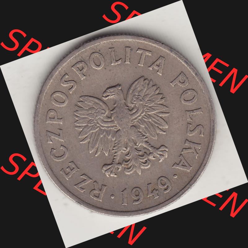 Münzen Polen KMS, Kursmünzensatz 1949-1949, Republik Polen 50 Groszy, Groschen, Kupfer 1949-1. Vorderseite einer polnischen Münzen auf einen Digitalen Bild... Sammlung