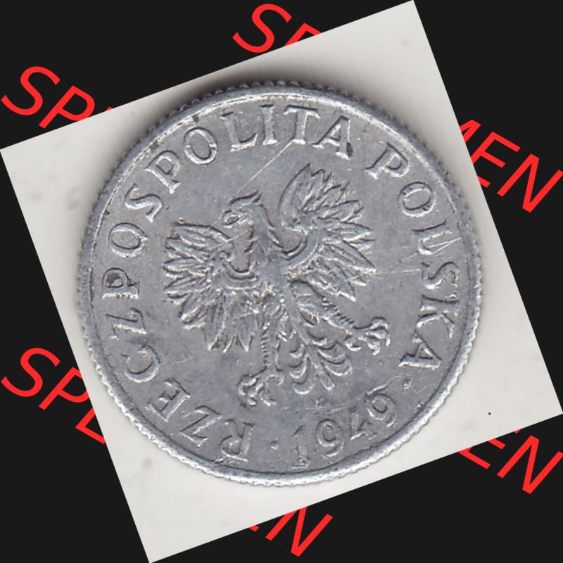 Münzen Polen KMS, Kursmünzensatz 1949-1949, Republik Polen 1 Grosz, Groschen, Aluminium 1949-1. Vorderseite einer polnischen Münzen auf einen Digitalen Bild... Sammlung
