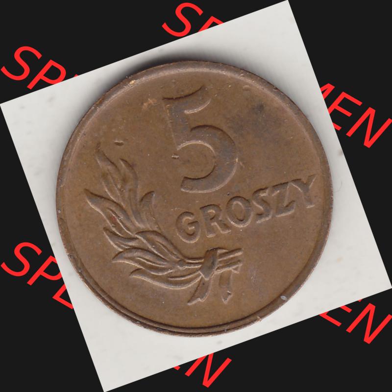 Münzen Polen KMS, Kursmünzensatz 1949-1949, Republik Polen 5 Groszy, Groschen, Bronze 1949-1. Rückseite mit Wert-Zahl / Wert-Angabe einer polnischen Münzen... Sammlung