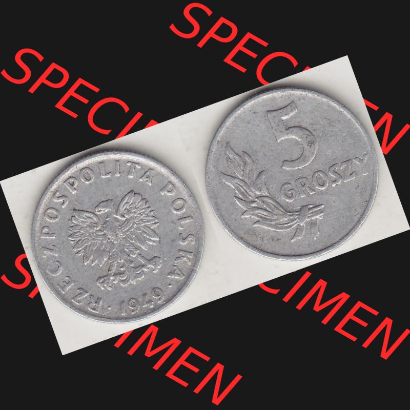 Münzen Polen KMS, Kursmünzensatz 1949-1949, Republik Polen 5 Groszy, Groschen, Aluminium 1949-1. Vorderseite und Rückseite horizontal mit Wert-Zahl / Wert-Angabe... Sammlung