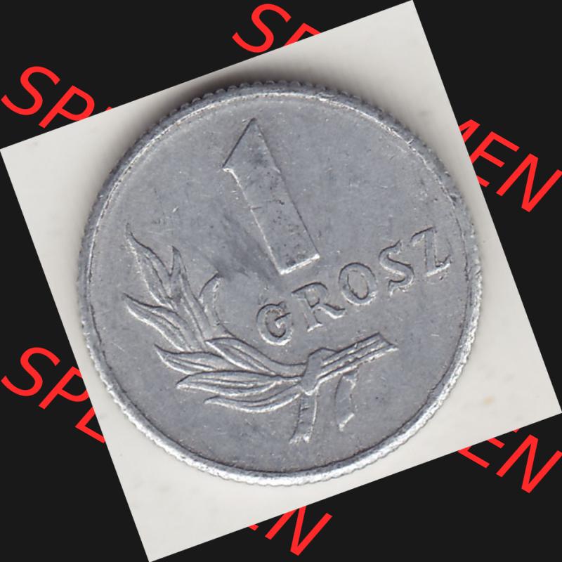 Münzen Polen KMS, Kursmünzensatz 1949-1949, Republik Polen 1 Grosz, Groschen, Aluminium 1949-1. Rückseite mit Wert-Zahl / Wert-Angabe einer polnischen... Sammlung