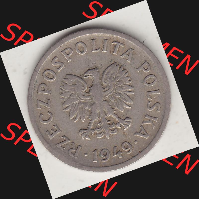 Münzen Polen KMS, Kursmünzensatz 1949-1949, Republik Polen 10 Groszy, Groschen, Kupfer 1949-1. Vorderseite einer polnischen Münzen auf einen Digitalen Bild... Sammlung