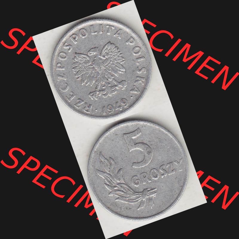 Münzen Polen KMS, Kursmünzensatz 1949-1949, Republik Polen 5 Groszy, Groschen, Aluminium 1949-1. Vorderseite und Rückseite vertikal, untereinander mit... Sammlung
